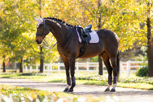 AW25 LM Mocka Dressyr Fyrkantig Lila