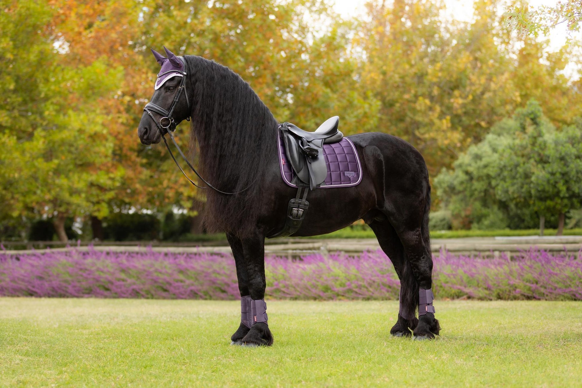 AW25 LM Loire Classic Dressyr Square Juniper
