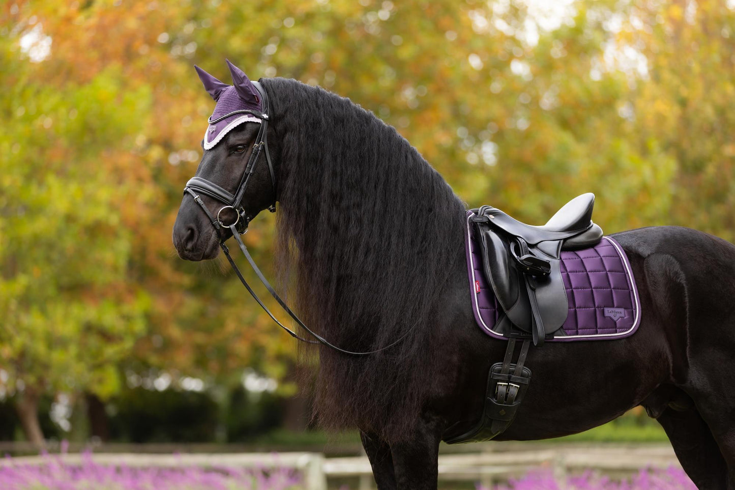 AW25 LM Loire Classic Dressyr Square Juniper