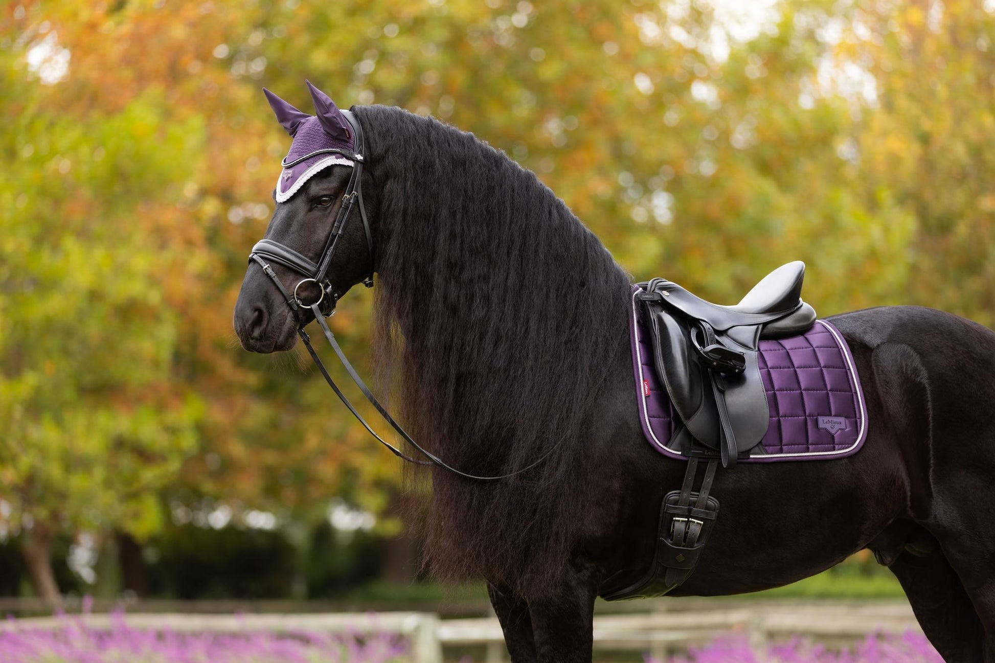 AW25 LM Loire Classic Dressyr Square Juniper
