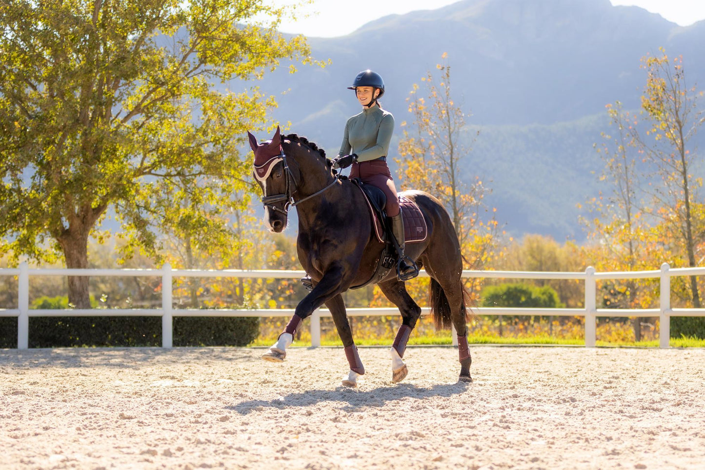 AW25 LM Loire Classic Dressage Square Damson