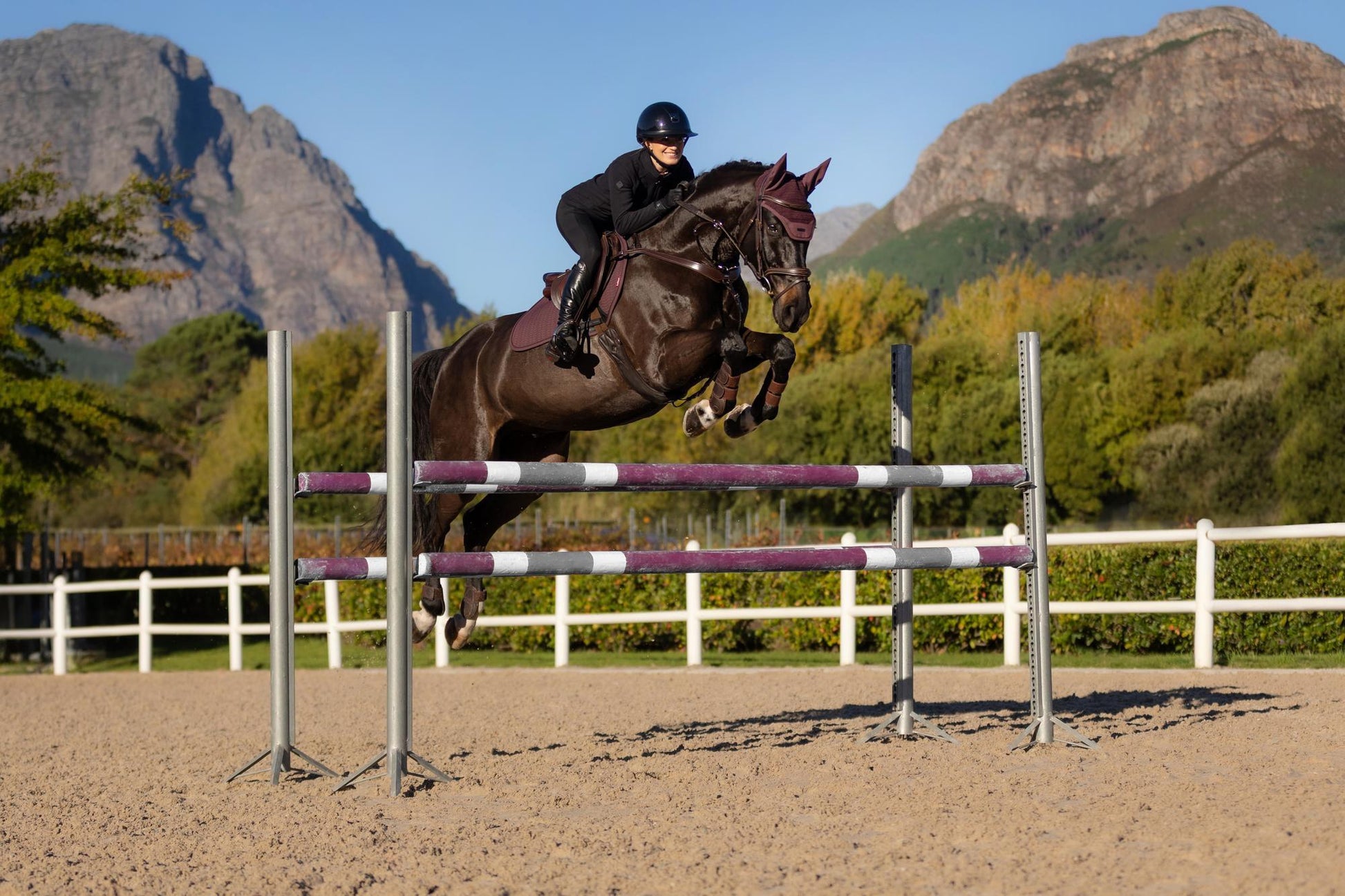 AW25 LM Essence Eurojump Square Damson