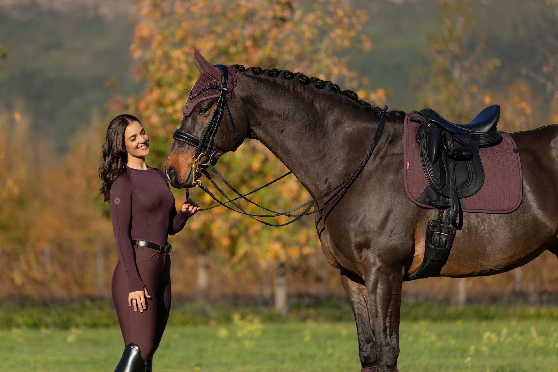 AW25 LM Essence Dressage Square Damson