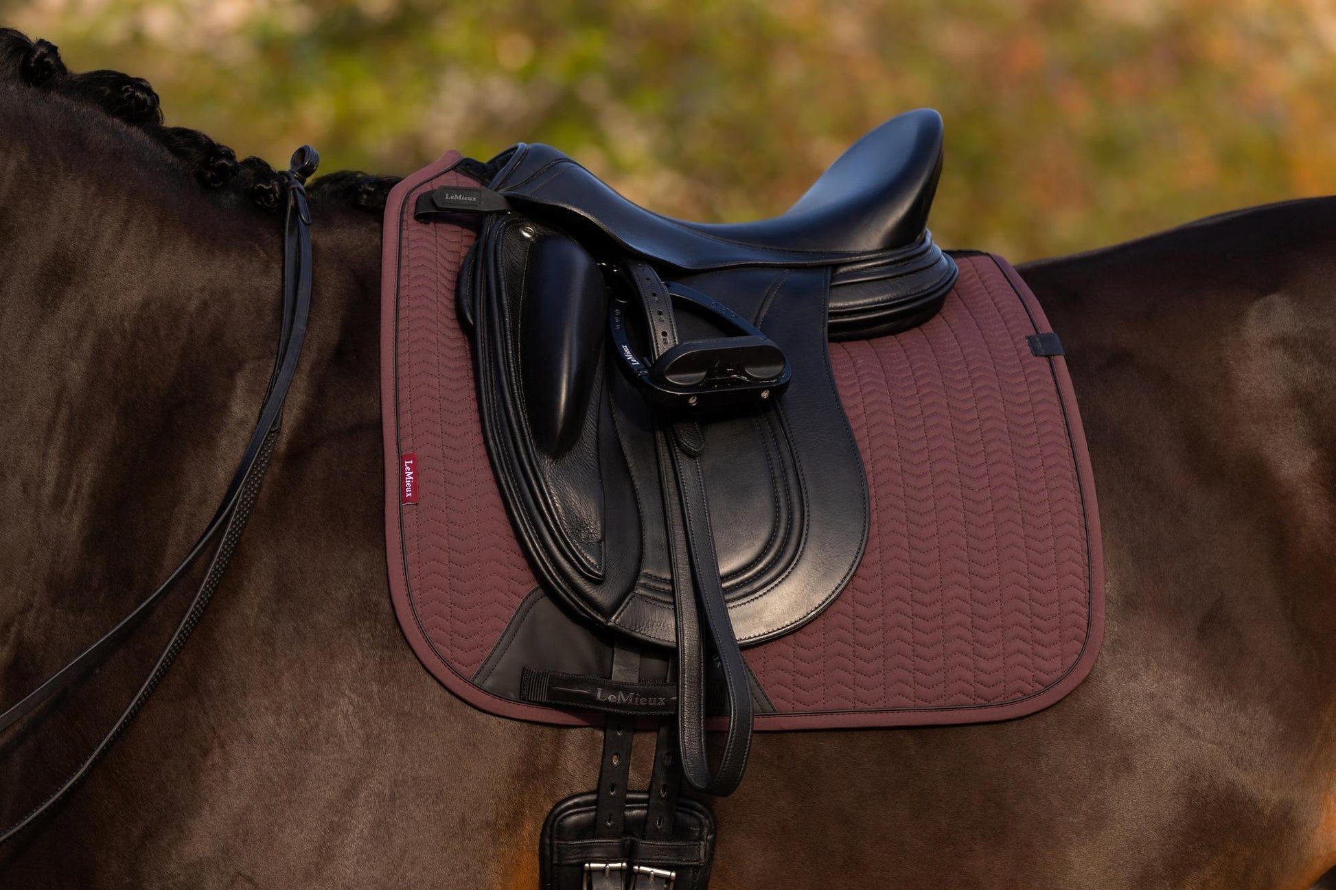 AW25 LM Essence Dressage Square Damson