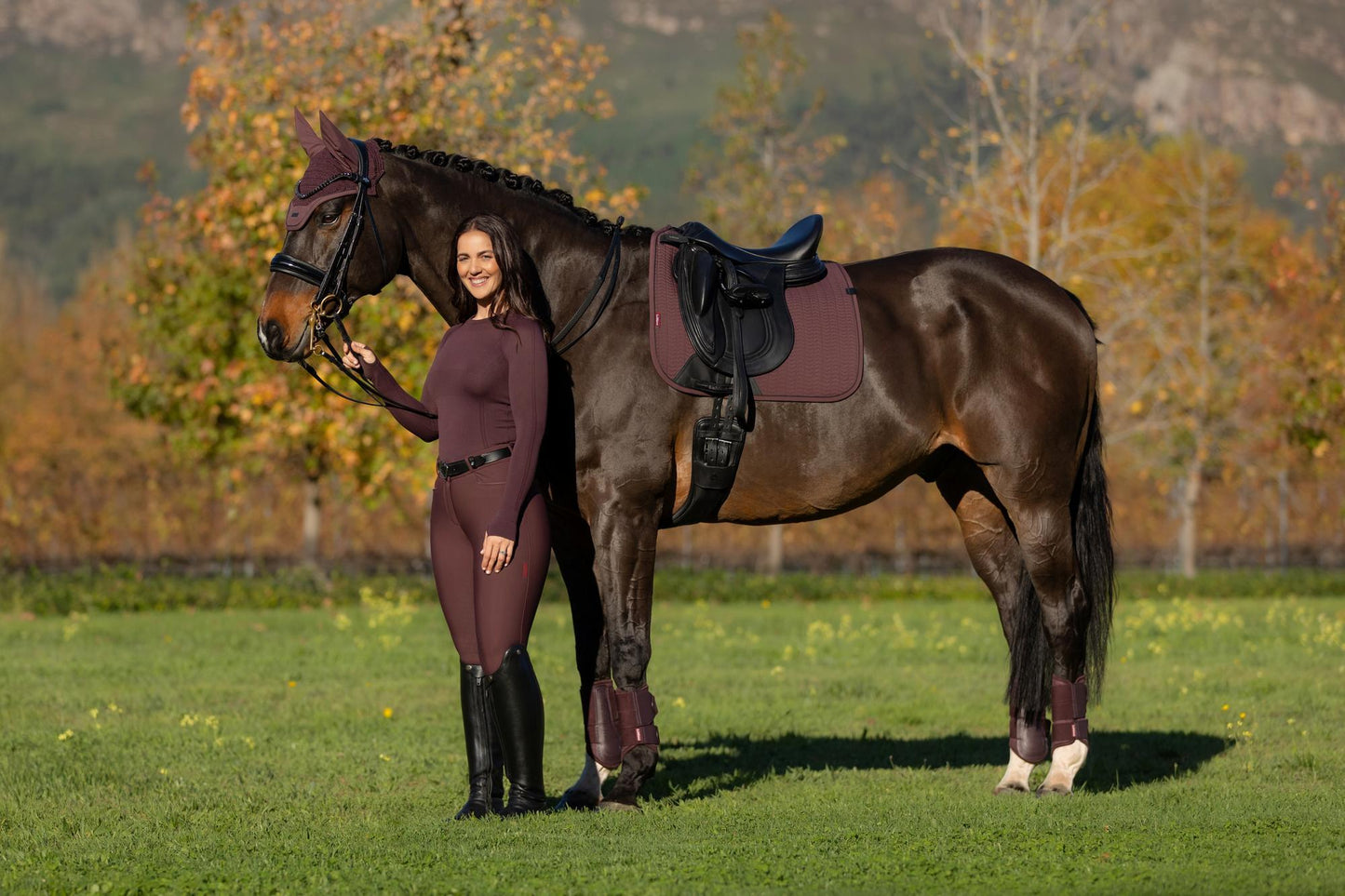 AW25 LM Essence Dressage Square Damson