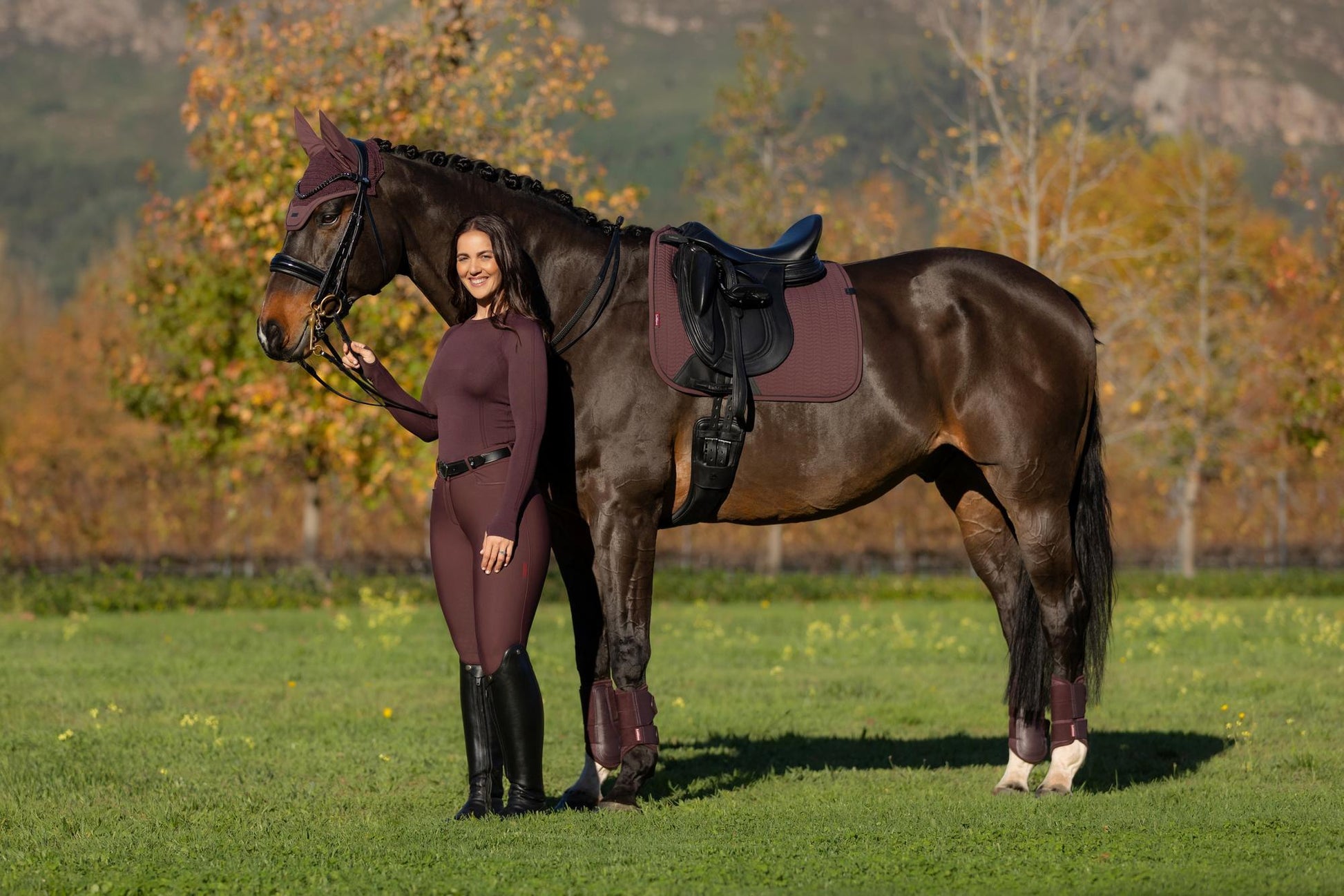 AW25 LM Essence Dressage Square Damson