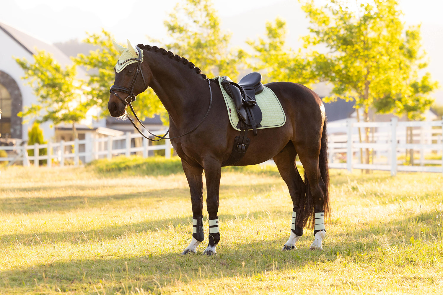 SS26 Suede Dressage Square Macaron