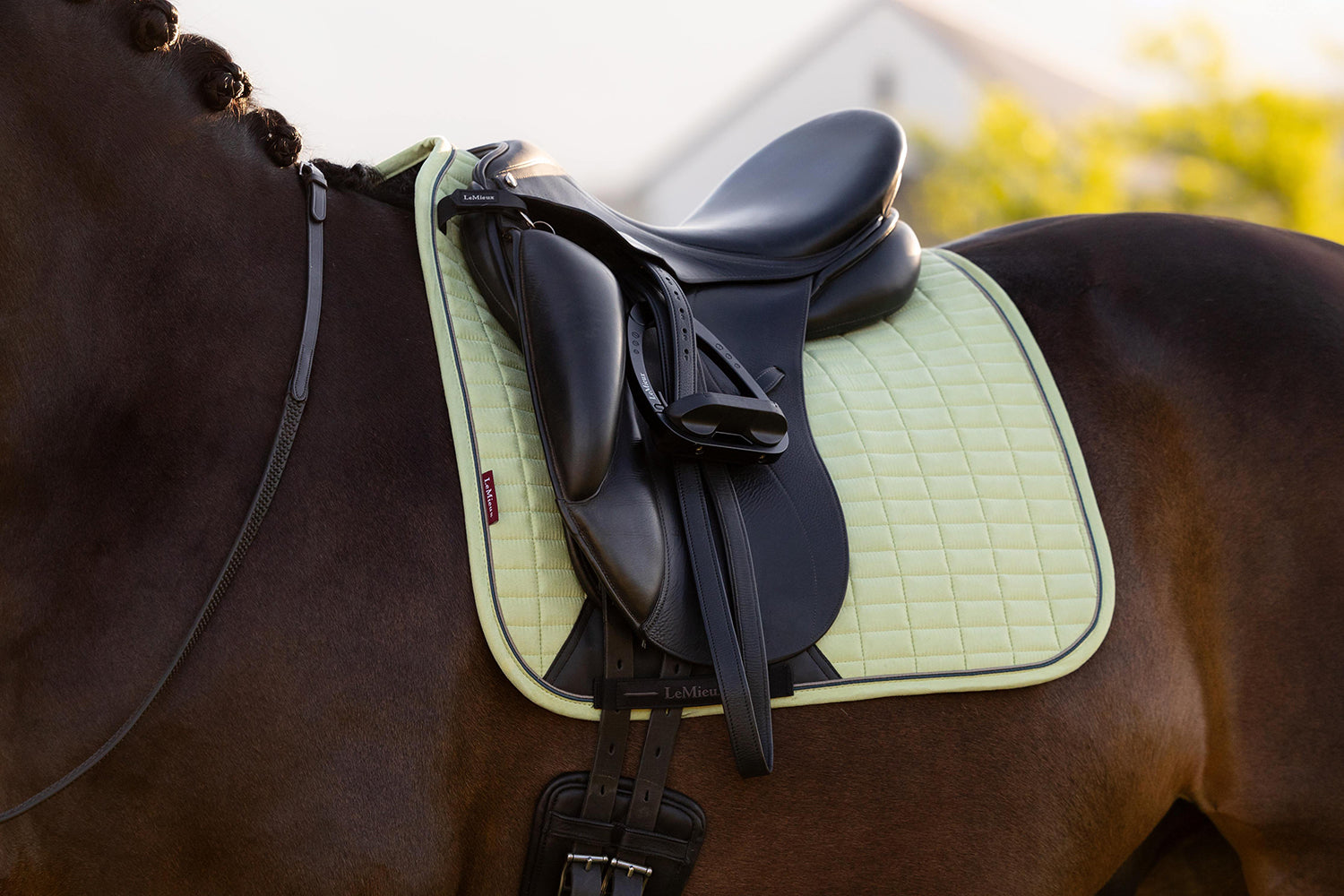 SS26 Suede Dressage Square Macaron