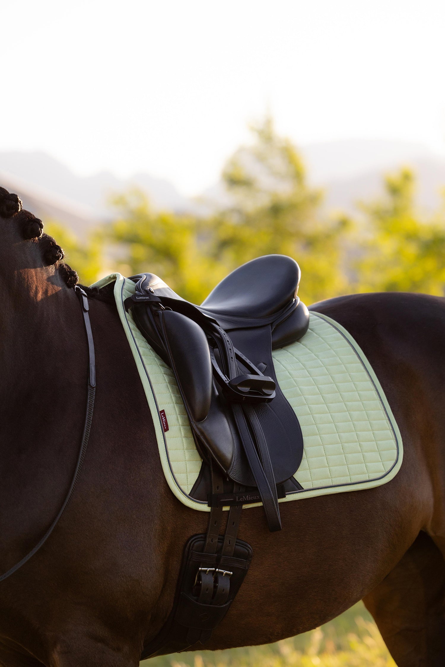 SS26 Suede Dressage Square Macaron