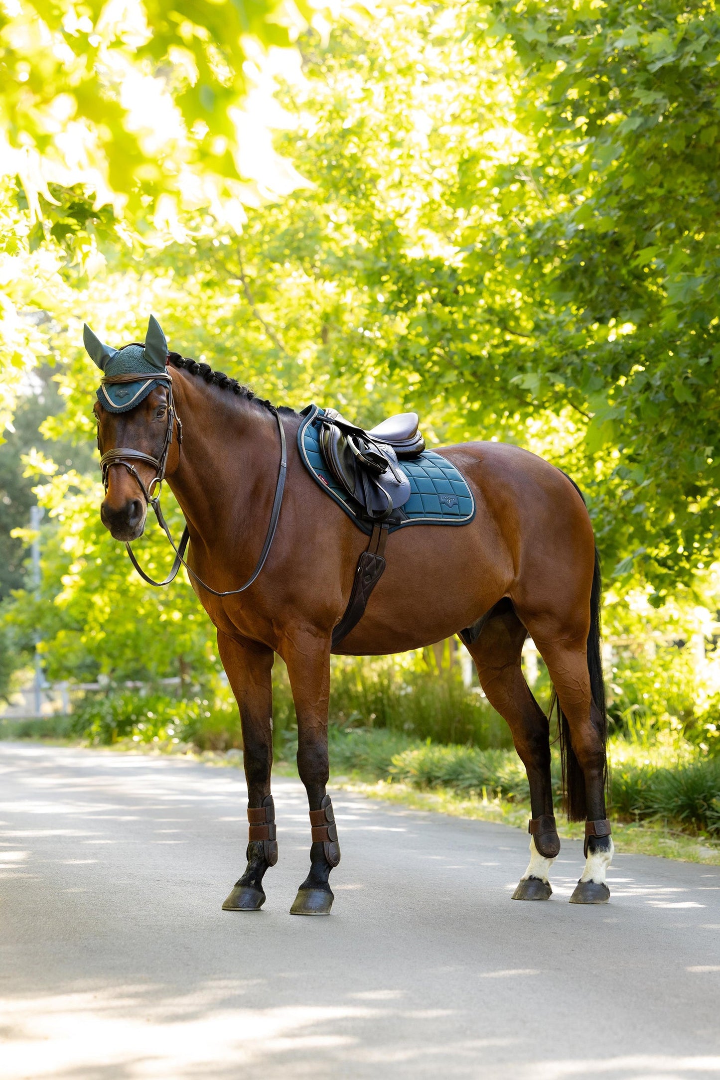 SS26 Loire Classic Close Contact Square Jungle