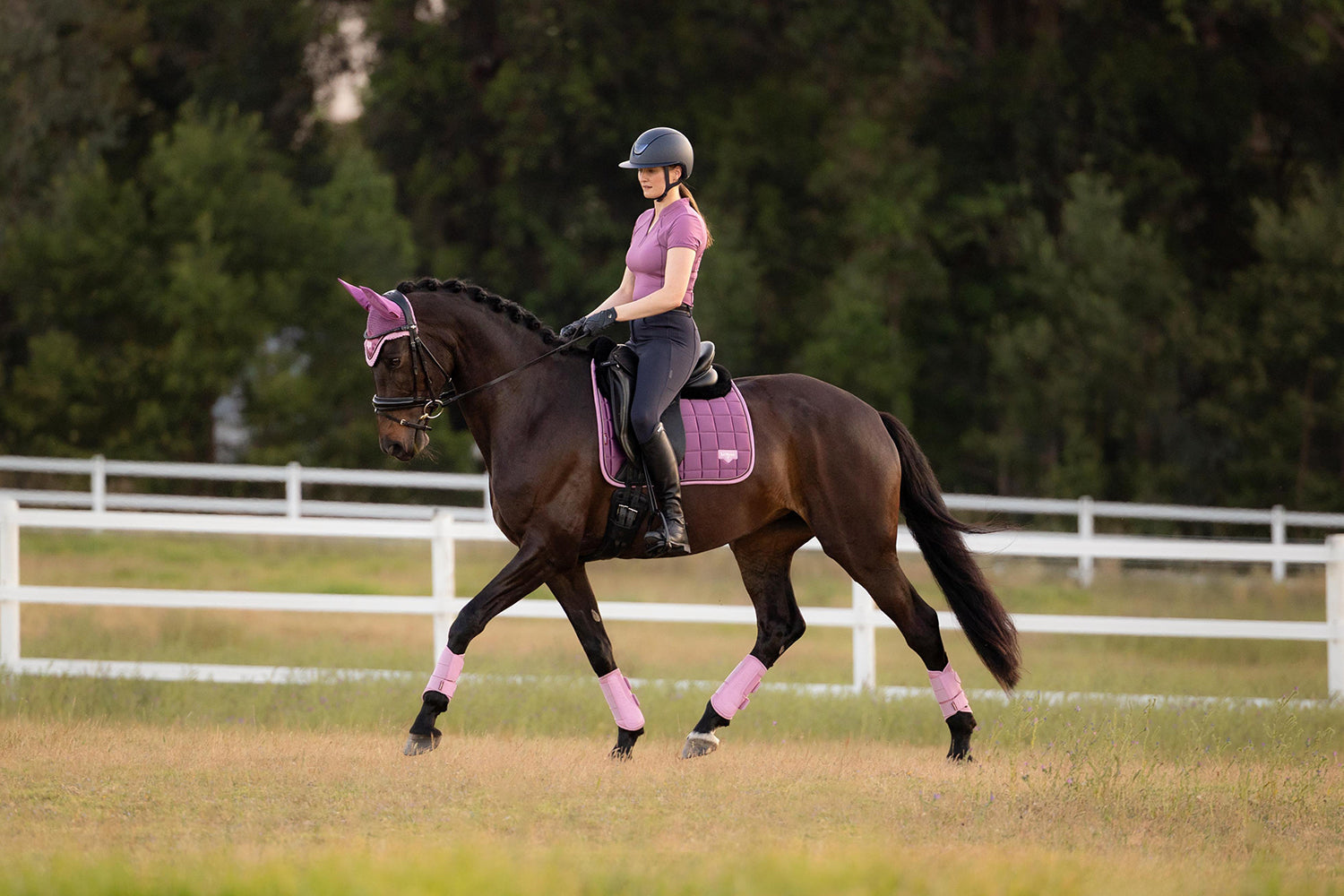 Loire SS26 Loire Classic Dressage Square Mallow