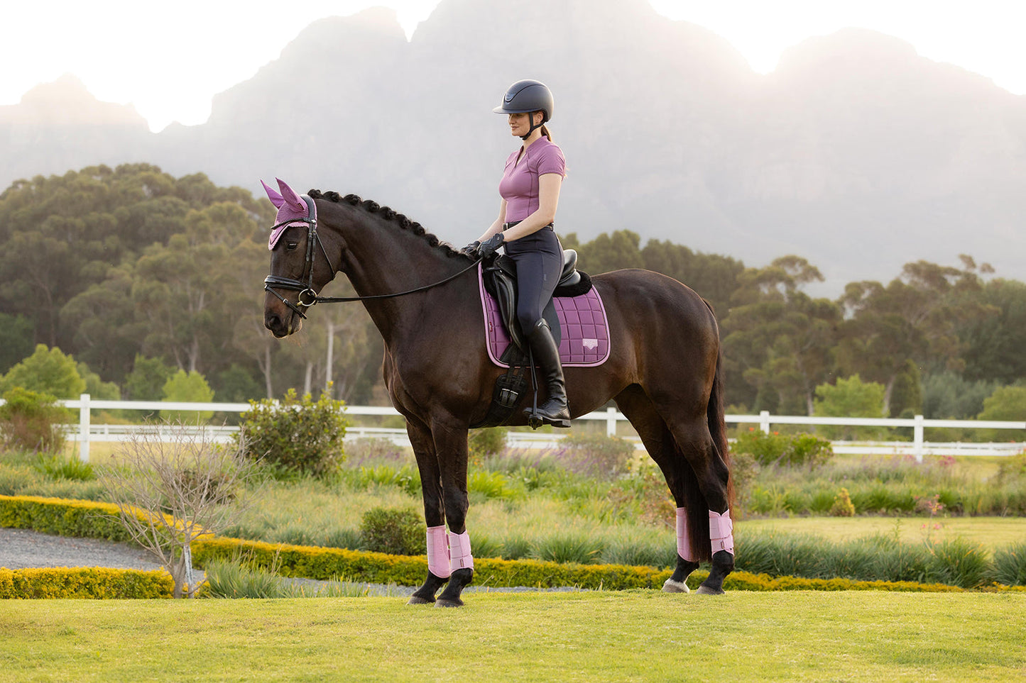 Loire SS26 Loire Classic Dressage Square Mallow