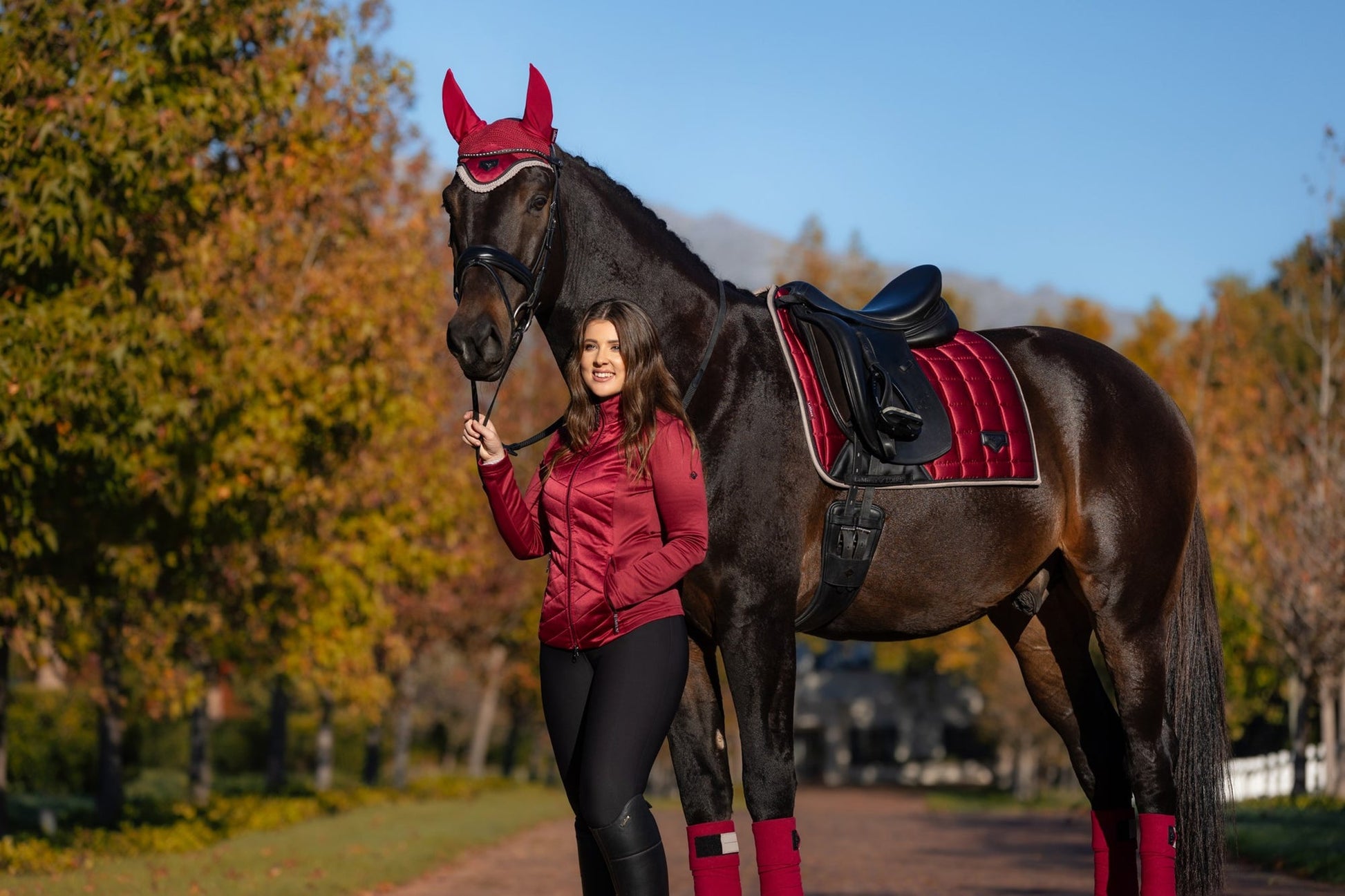 AW24 Loire Classic Dressyr Square Ember