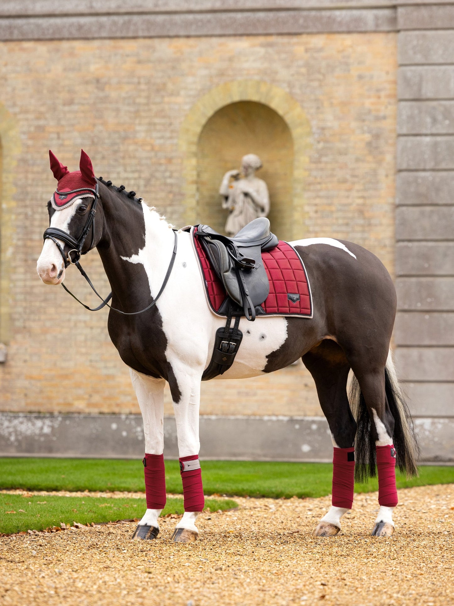 AW24 Loire Classic Dressyr Square Ember