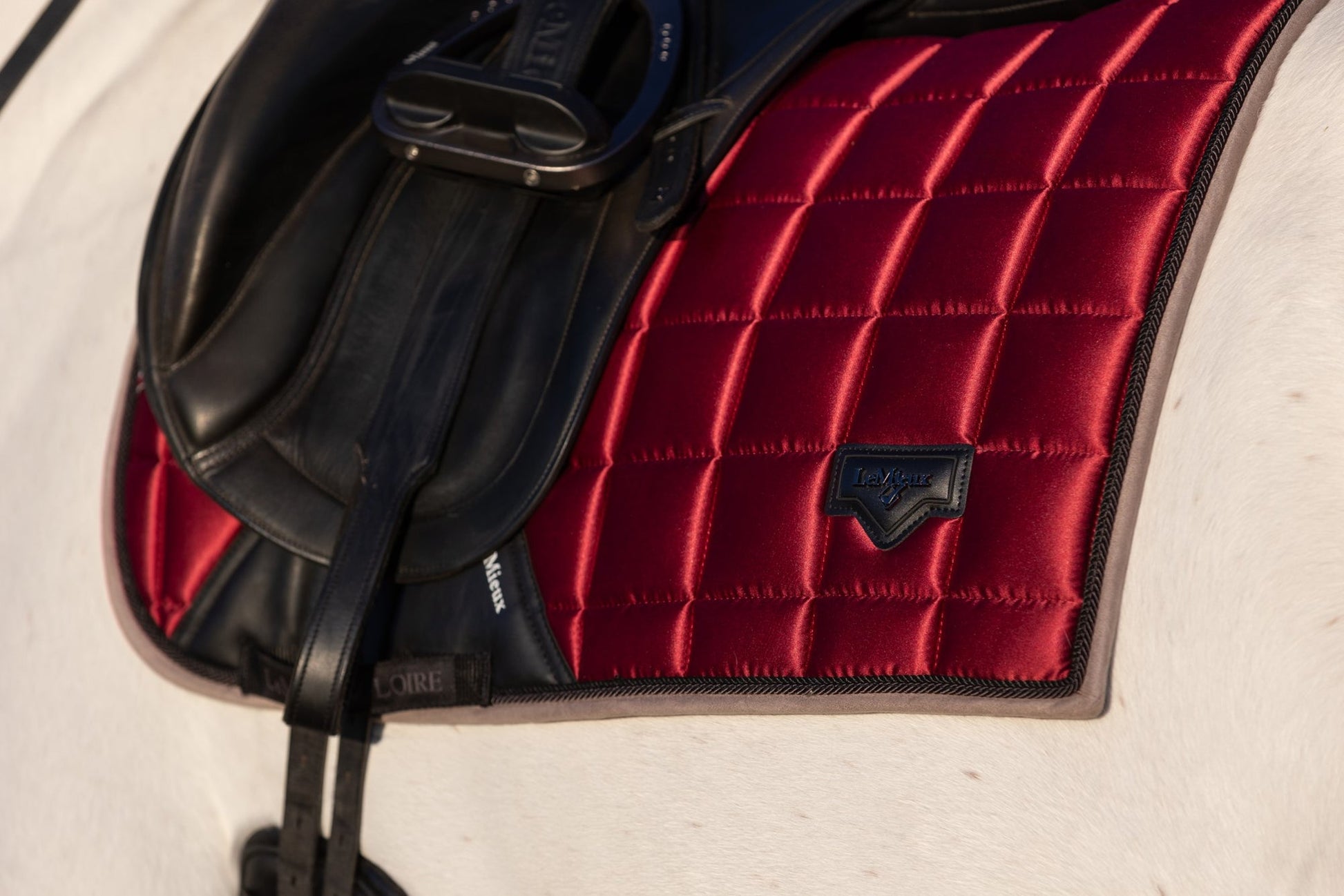 AW24 Loire Classic Dressyr Square Ember