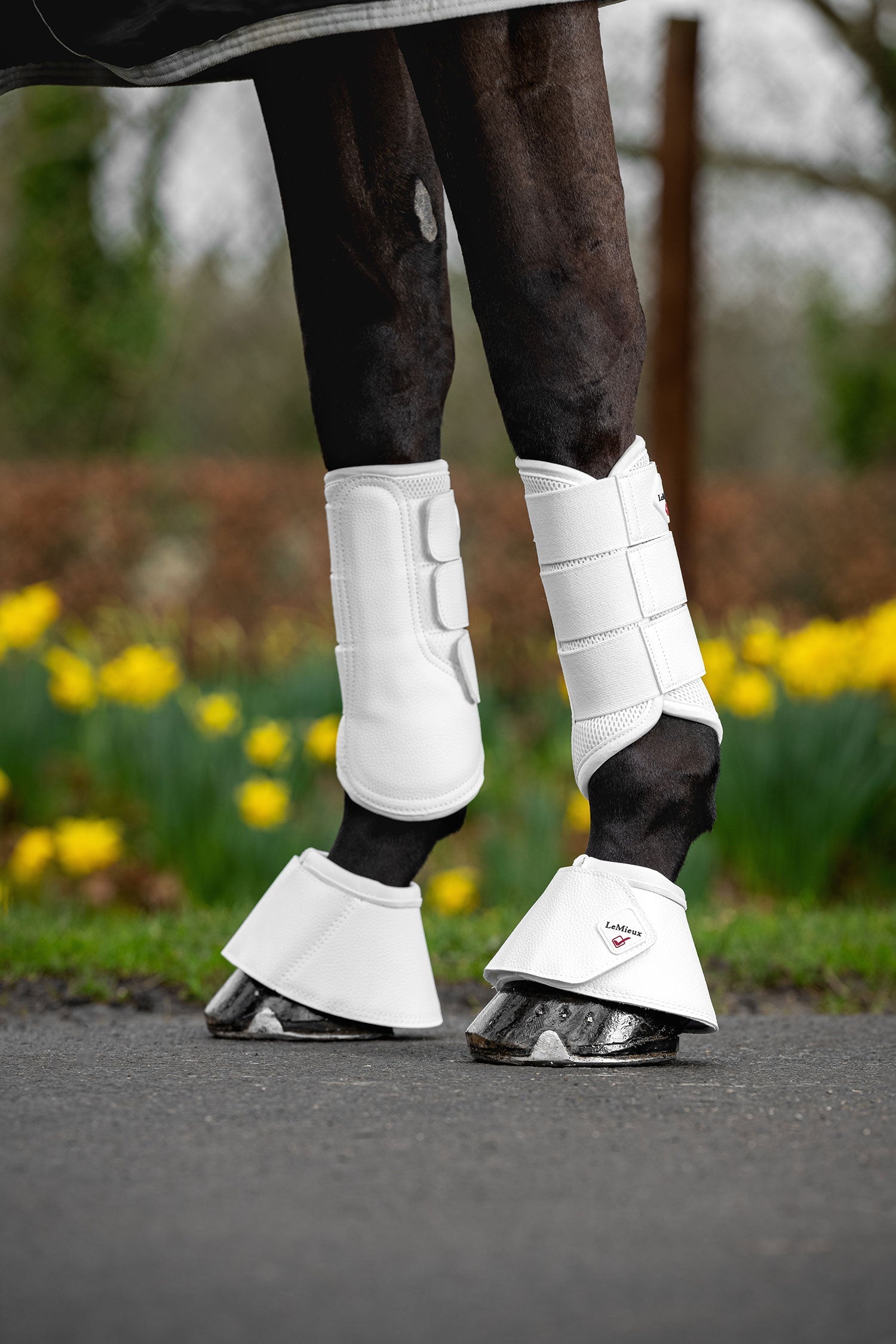 Mesh Brushing Damask