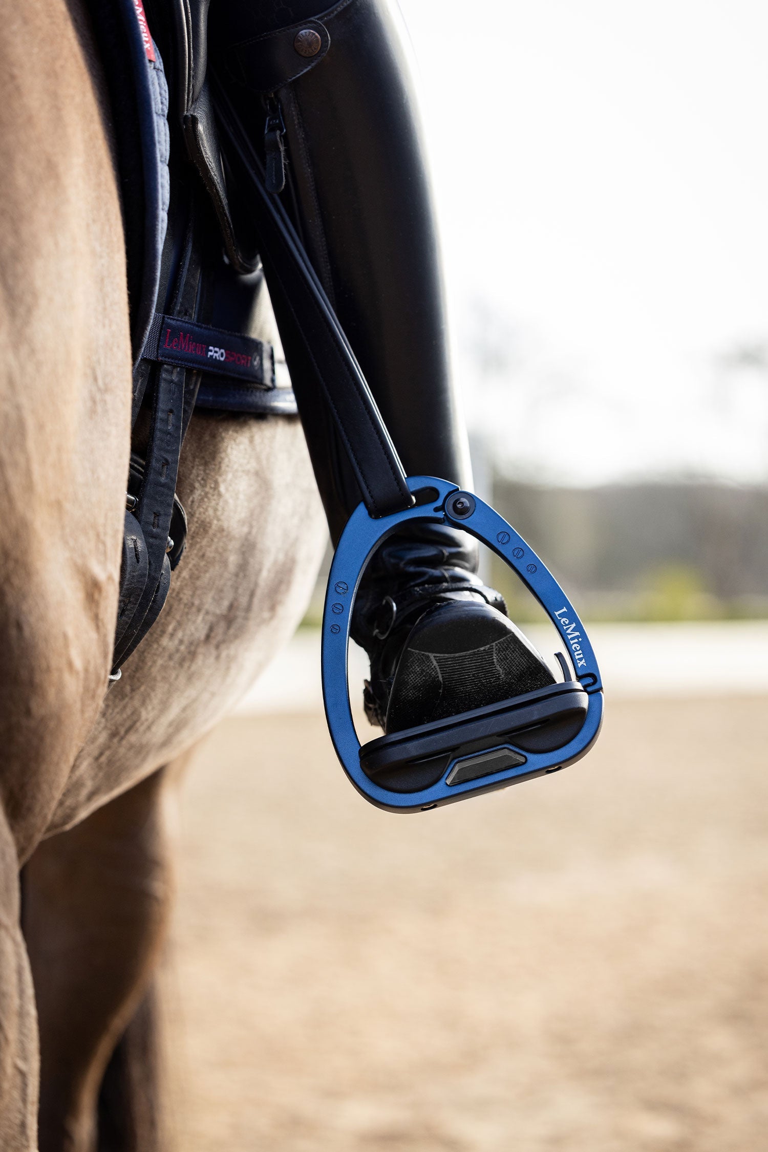 Vector Balans Stigbygel