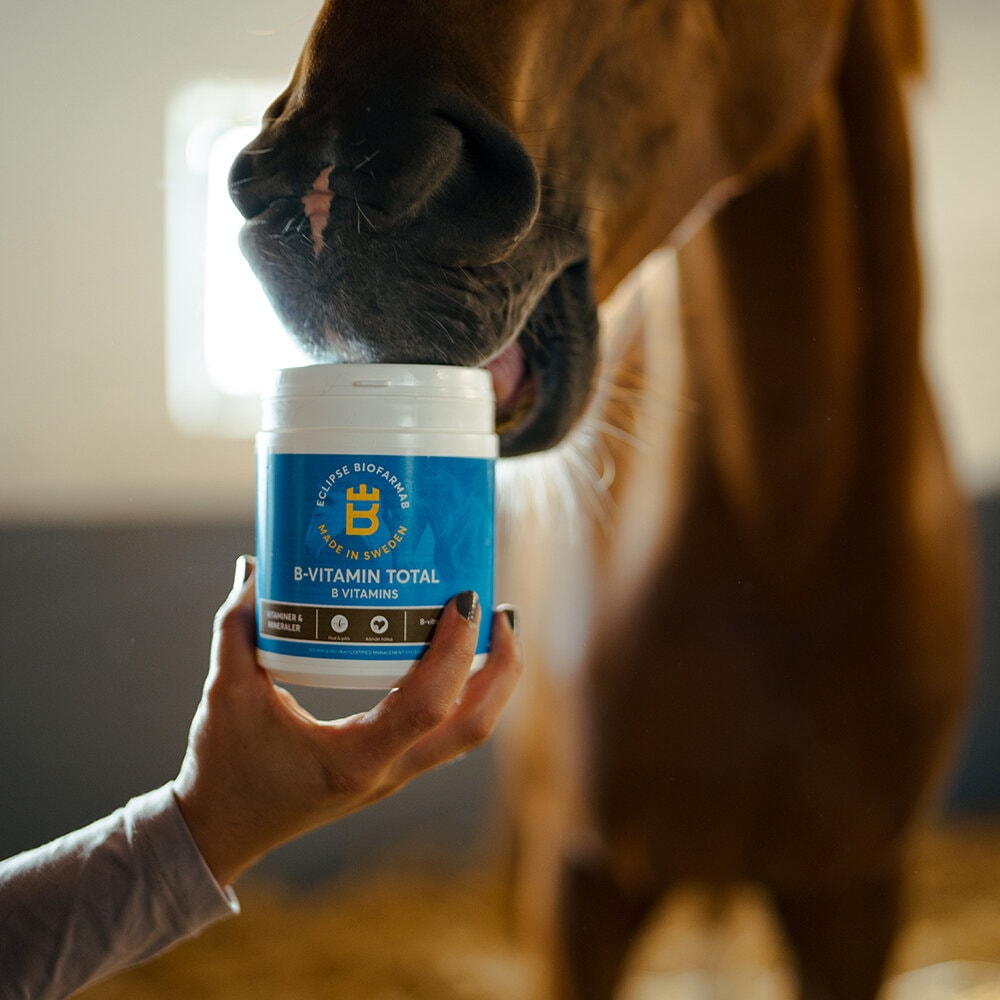 Eclipse Biofarmab B-Vitamin Total