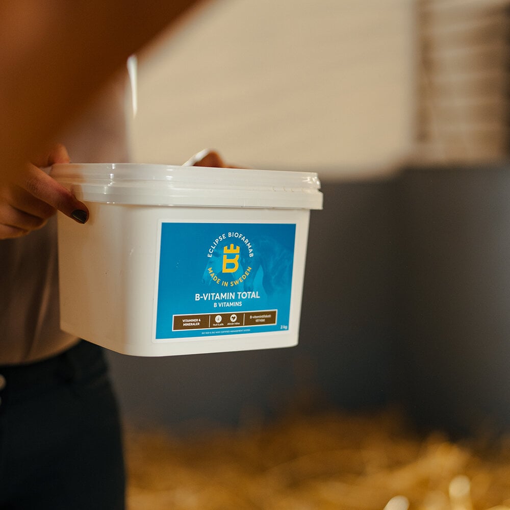 Eclipse Biofarmab B-Vitamin Total