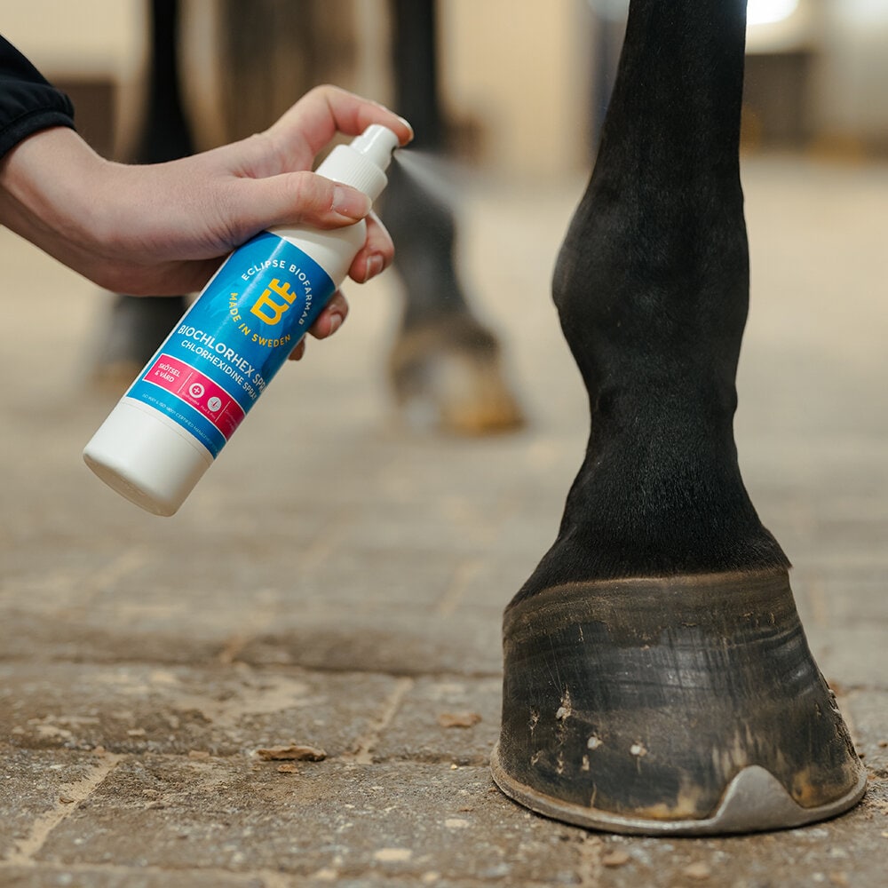 BioChlorHex Spray 200 ml