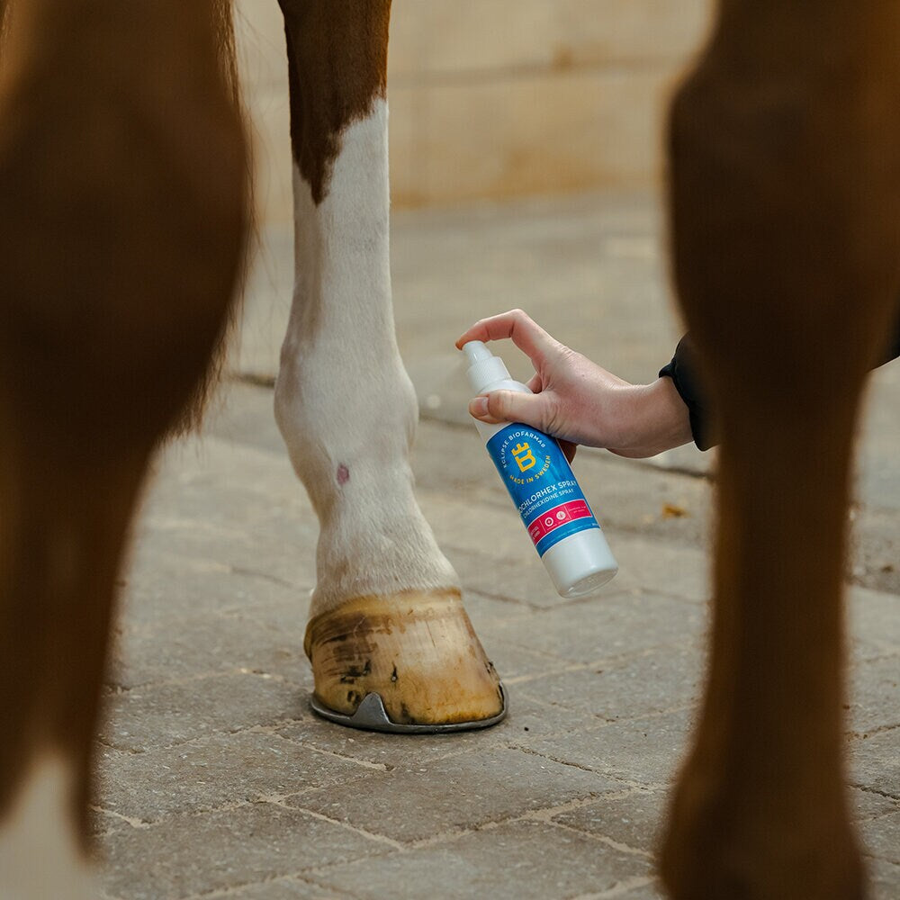 BioChlorHex Spray 200 ml