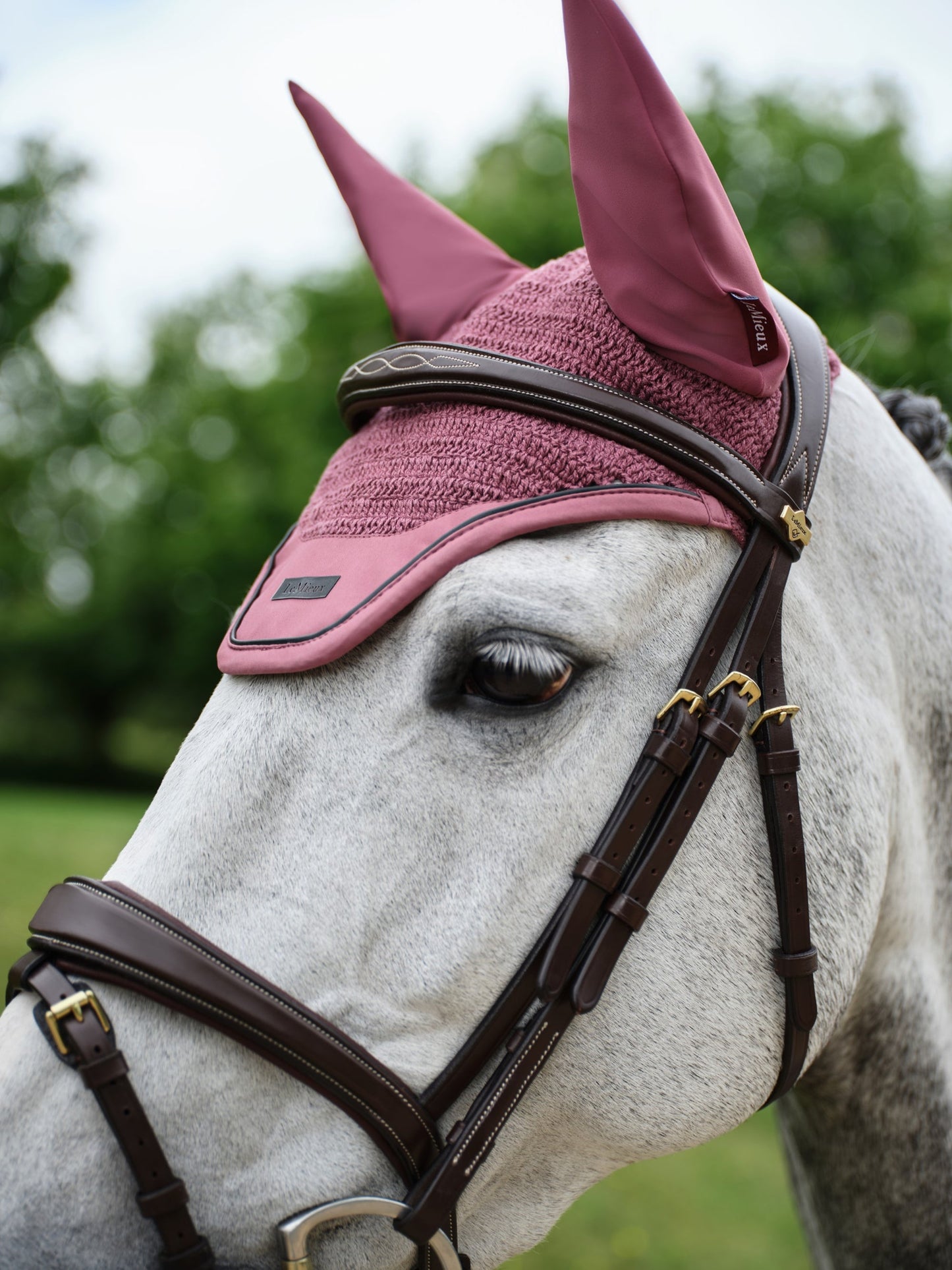 SS25 Essence Akustisk Flugskydd Rosenträ