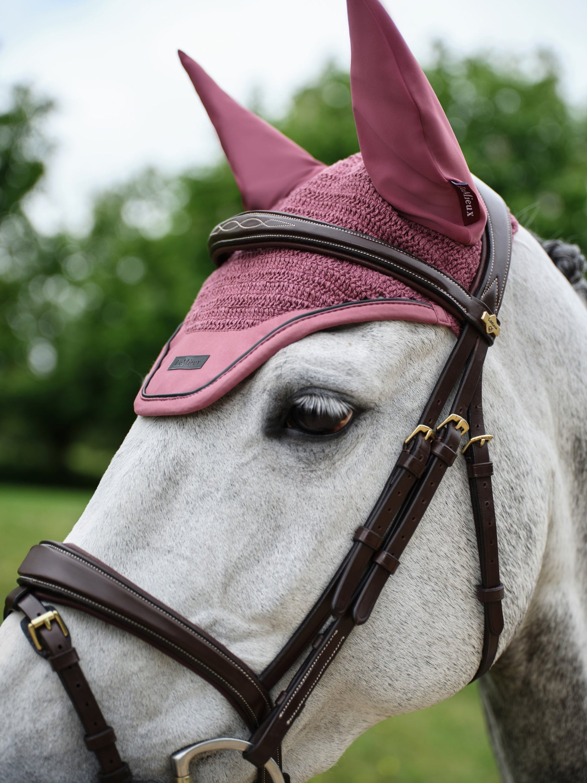 SS25 Essence Akustisk Flugskydd Rosenträ