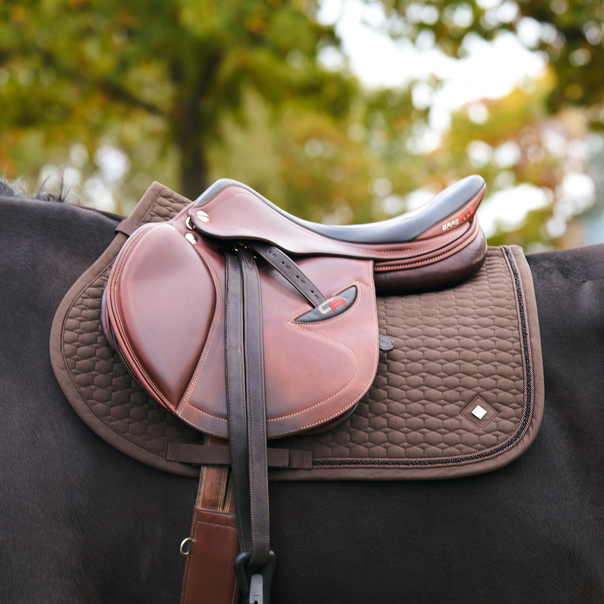 Imperial Riding Hopp-/Allroundschabrak IRHMaria, Mörkbrun