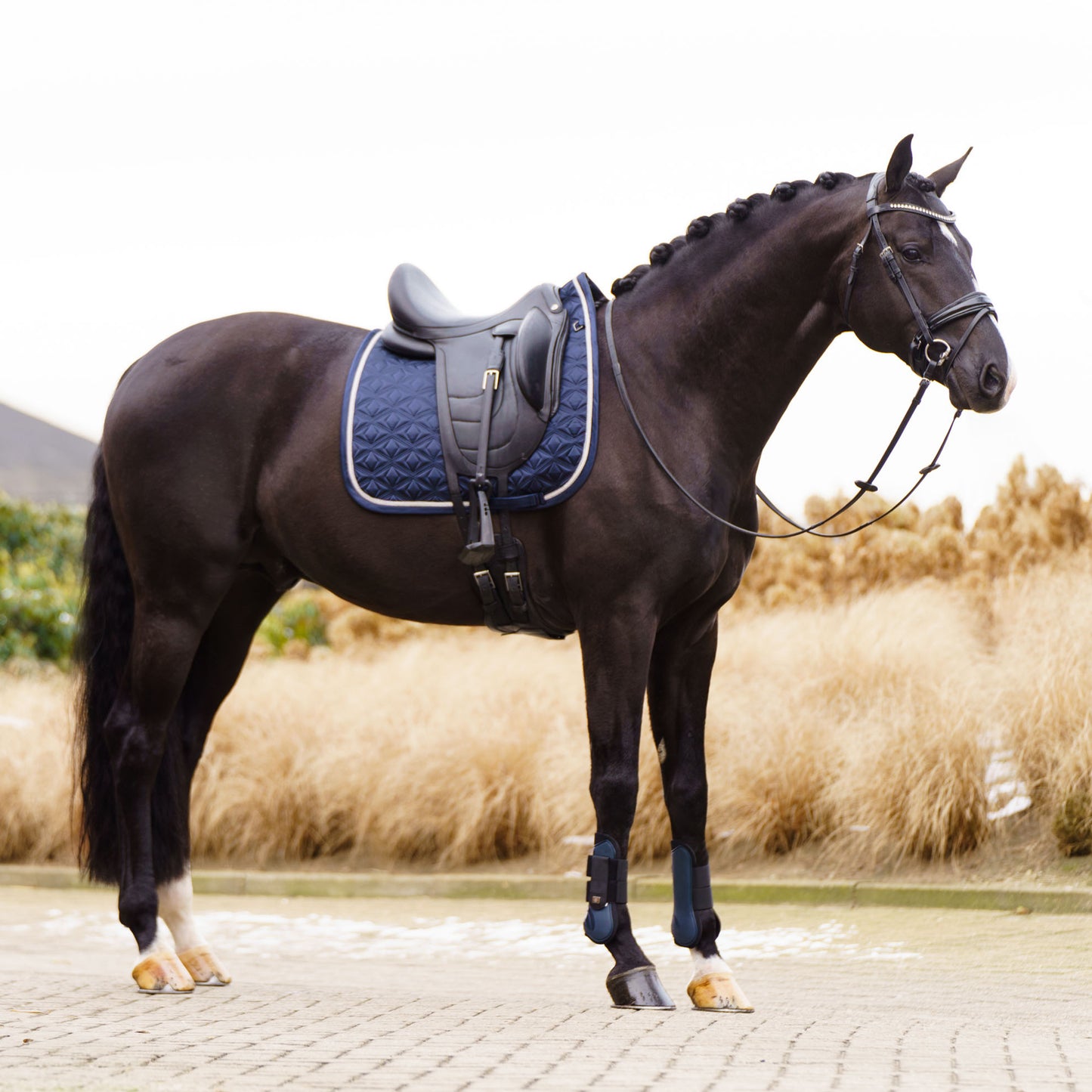 Imperial Riding Dressyrschabrak IRHLenny - Navy