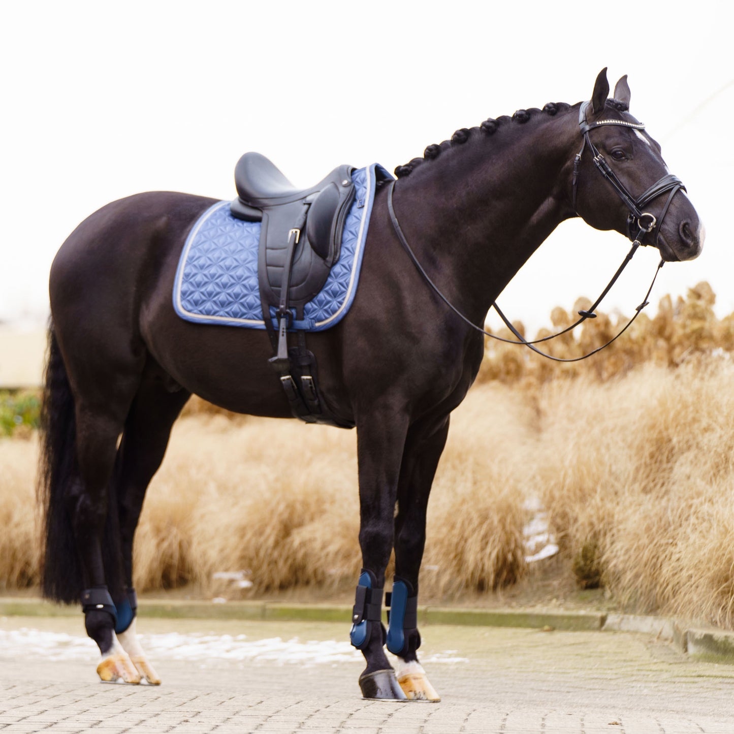Imperial Riding Dressyrschabrak IRHLenny - Safirblå