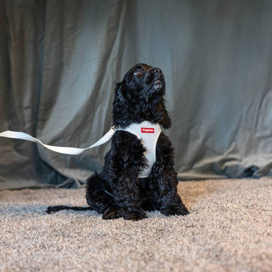 Air Mesh Step-in Väst Sele Beige