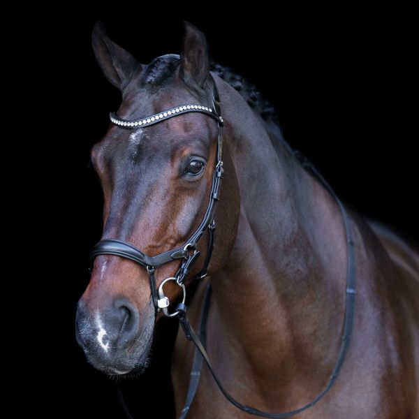 Bridle HVPLegacy Anatomical deluxe