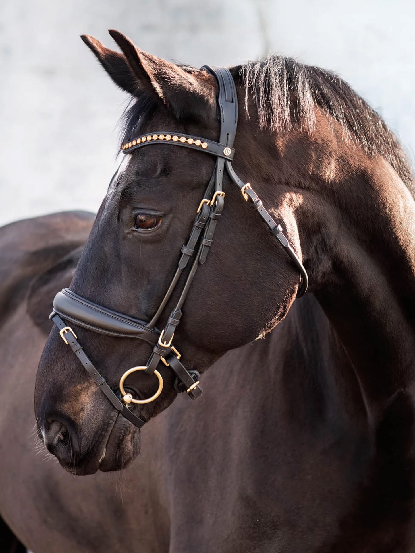 Cleveland Dressage Bridle