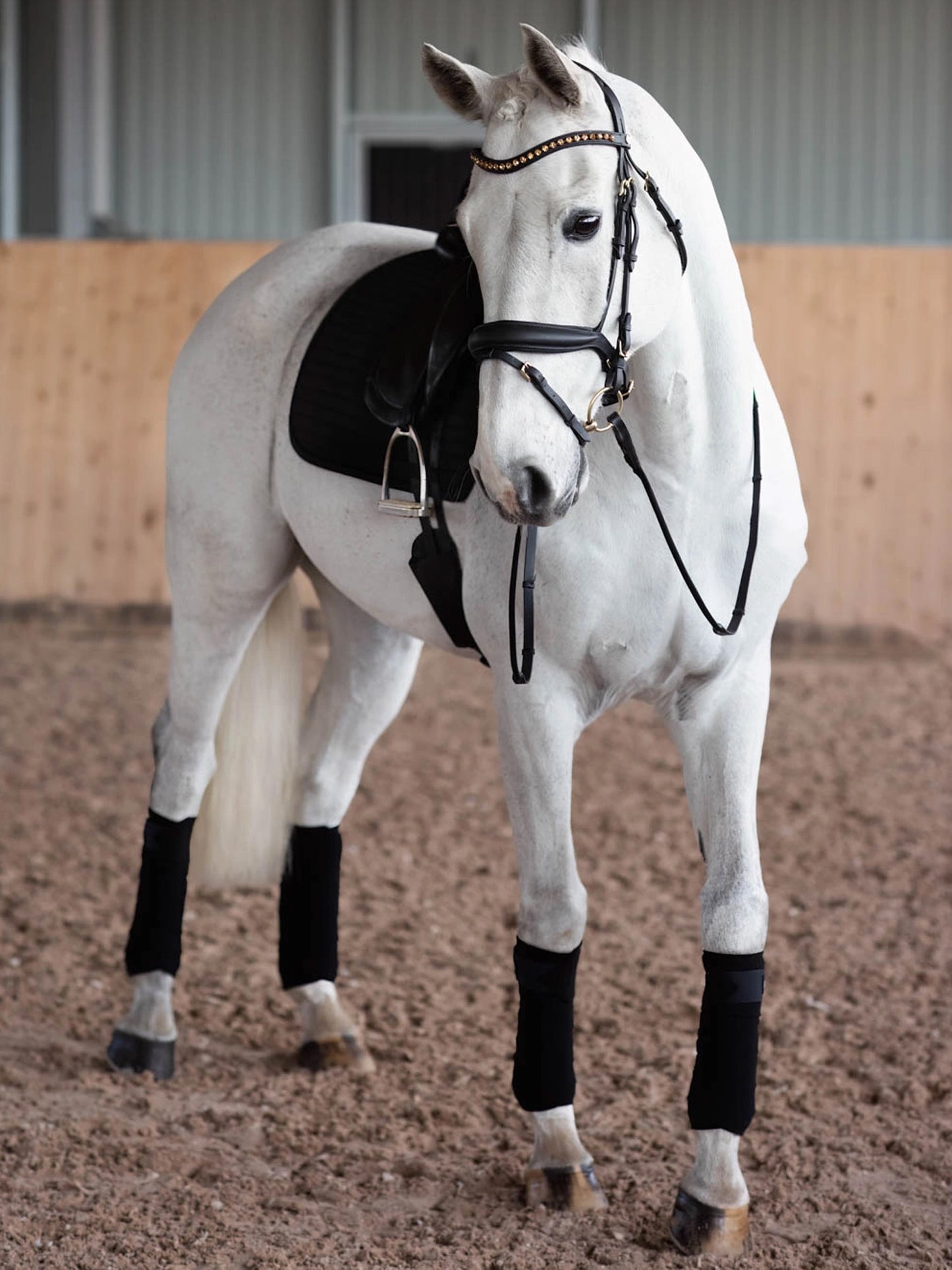 Cleveland Dressage Bridle