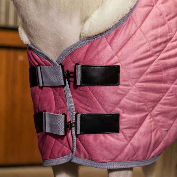 HVPolo Stable blanket HVPSacha