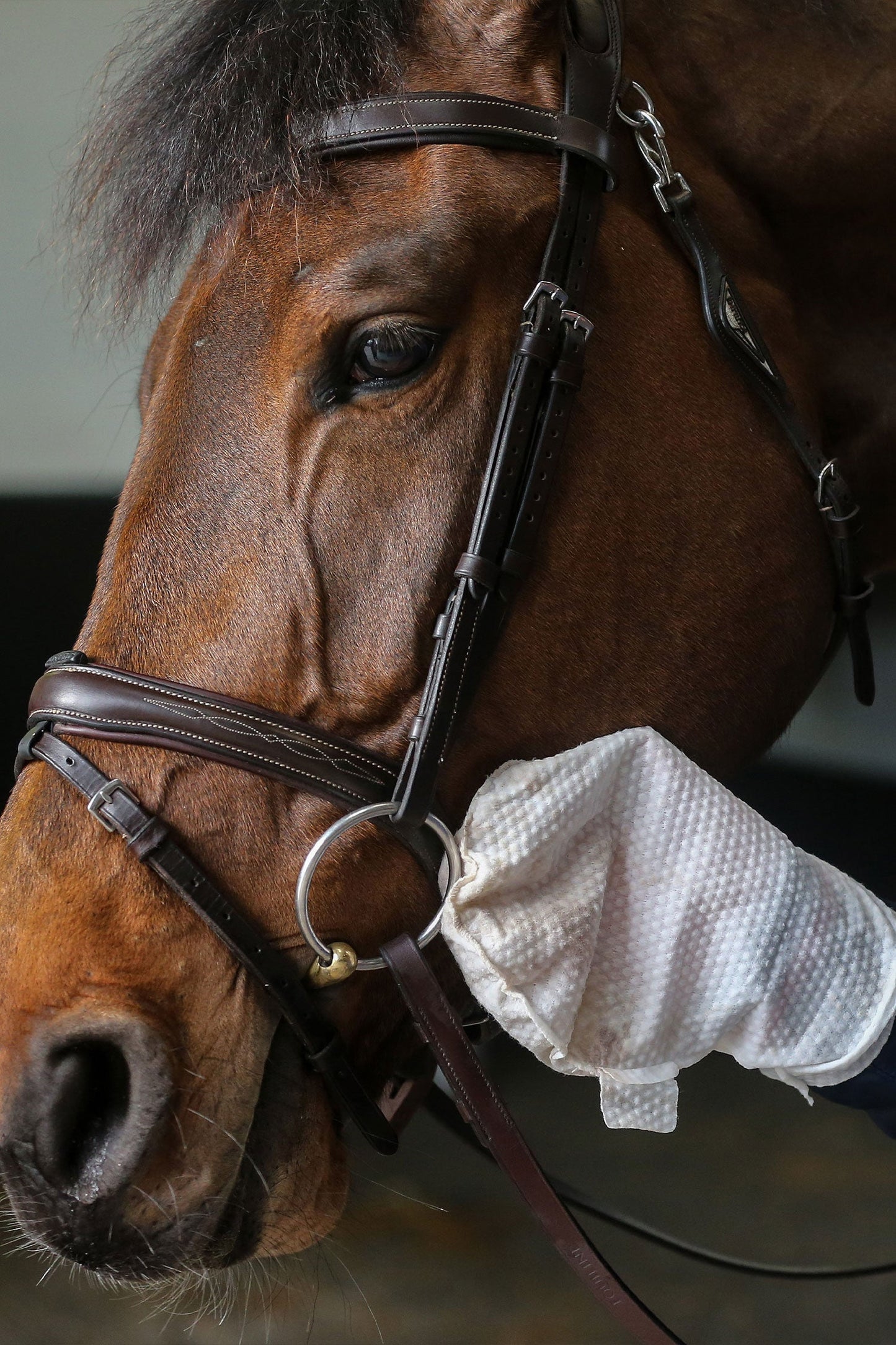 Carr & Day & Martin Belvoir Tack Cleaner Mitt