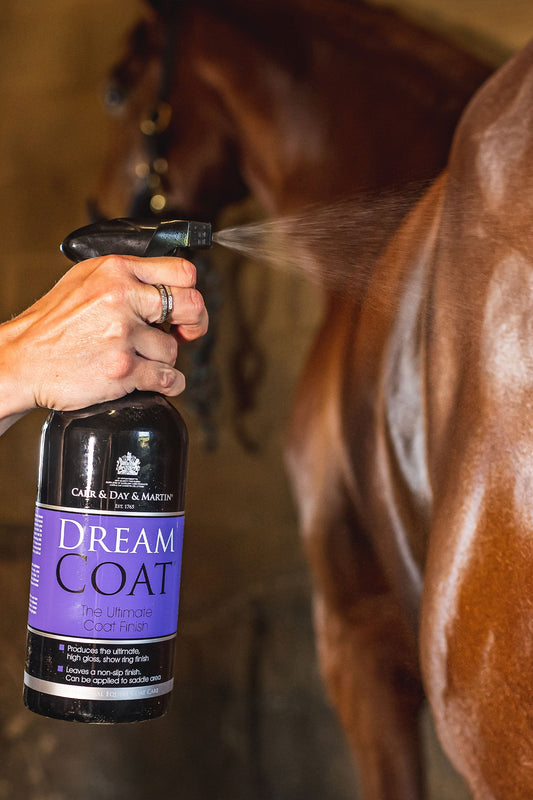 Carr & Day & Martin Dreamcoat Spray