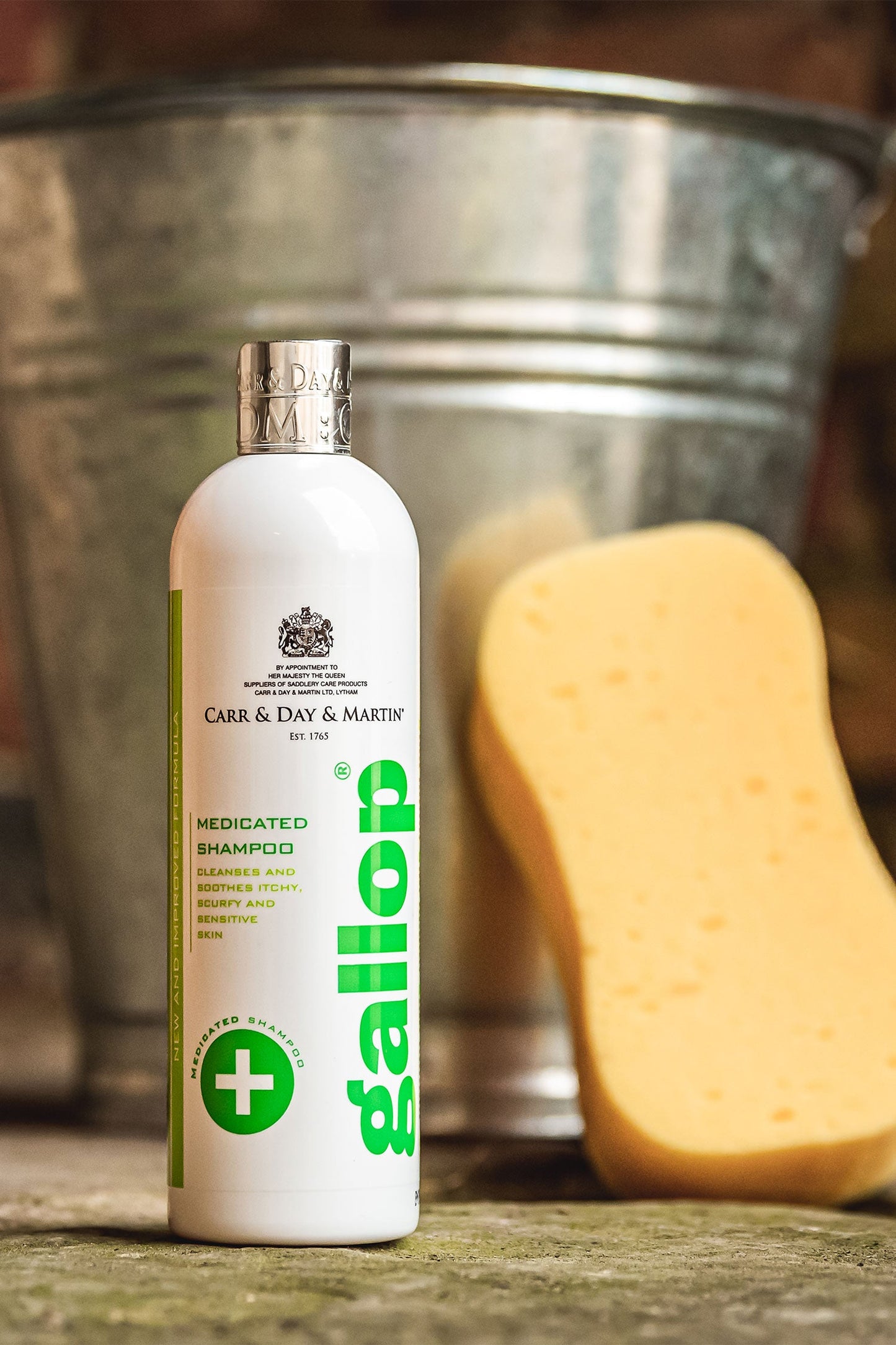 Carr & Day & Martin Gallop Medicated Shampoo