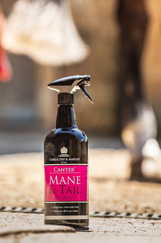 Carr & Day & Martin Grooming Duo