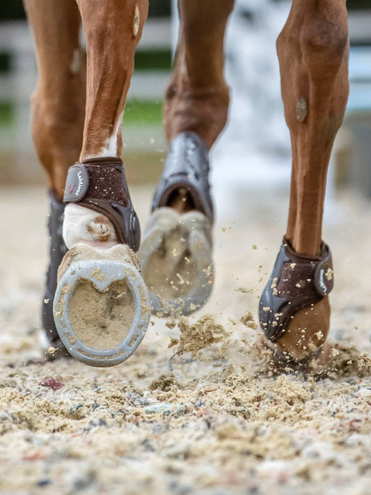 LeMieux Impact Compliant Kotskydd, Svarta & Bruna