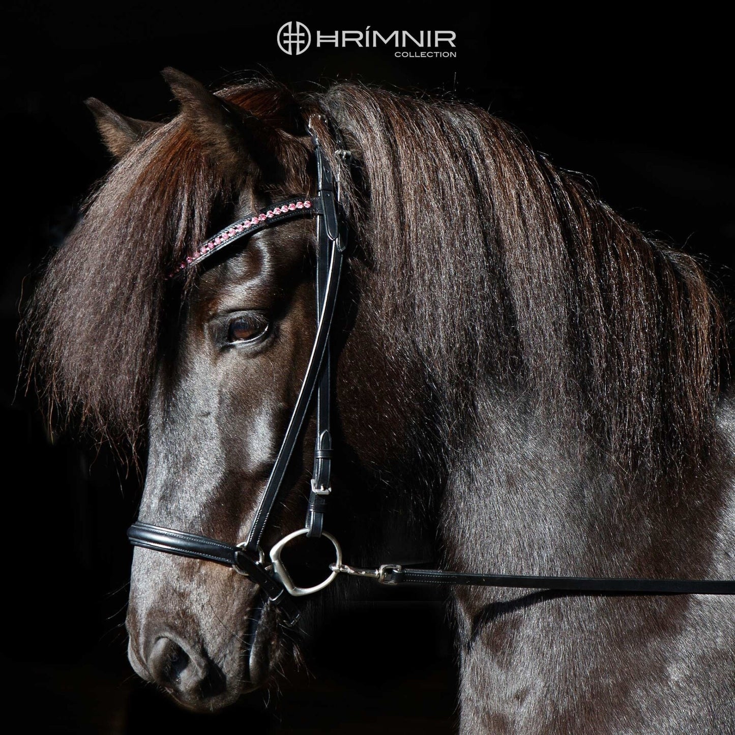 Huvudlag Klassisk Rosa