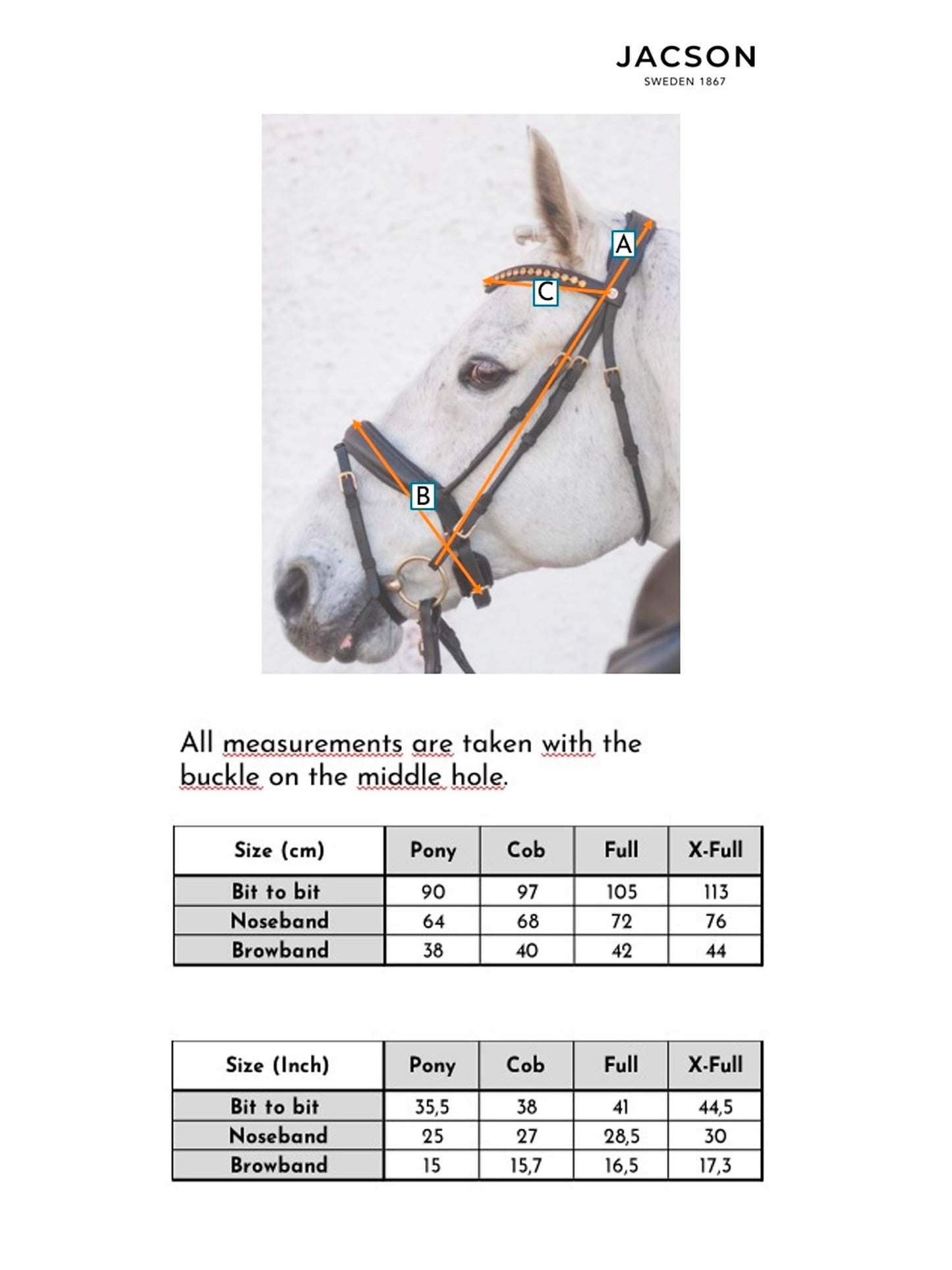 Cleveland Dressage Bridle