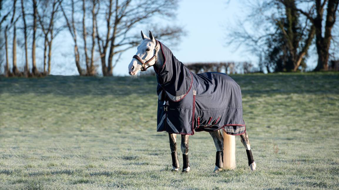 LM Kudos Turnout Rug 100g Navy