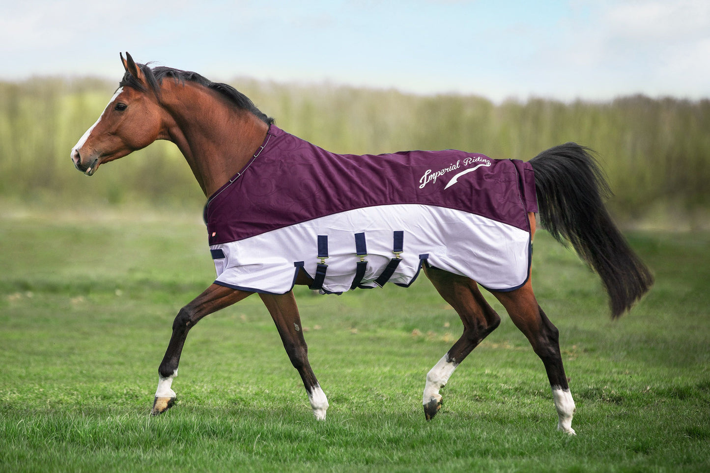 Imperial Riding IRHSuper-dry Regn- & Flug Täcke, Bordeaux