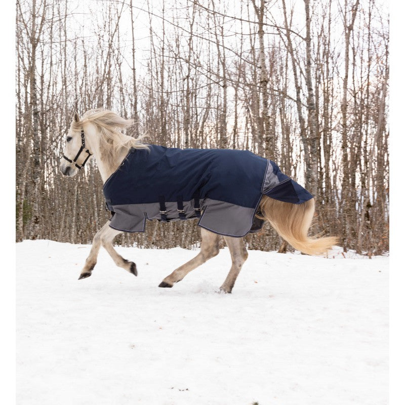 EQUITHÈME TYREX 600D Utetäcke Med Magplatta, Navy/Grå 300 g