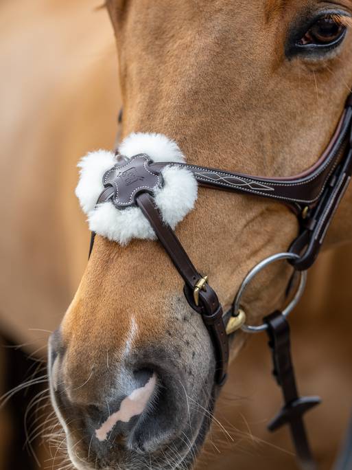 LeMieux Kudos Grackle Träns, Havana