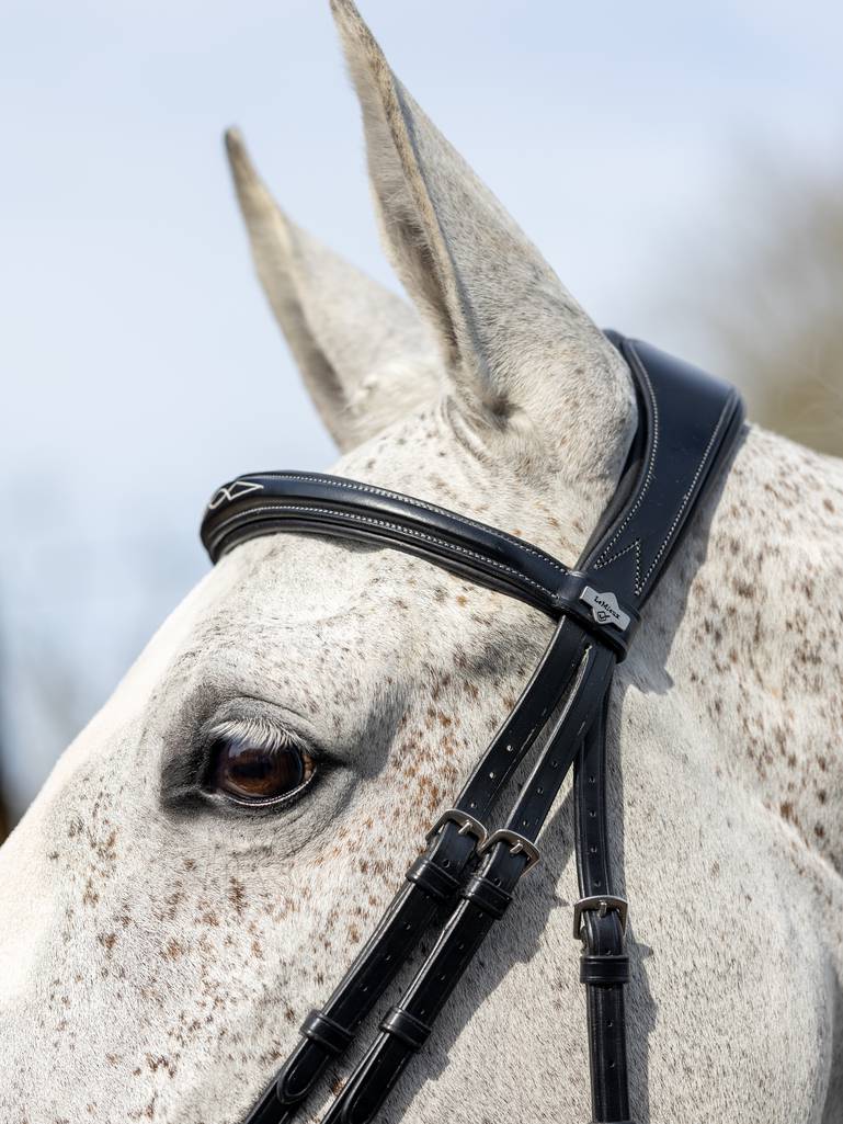 LM Kudos Competition Flash Bridle, Svart