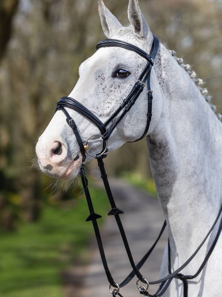 LM Kudos Competition Flash Bridle, Svart