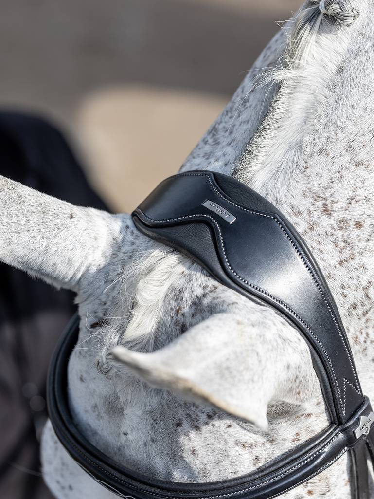 LM Kudos Competition Flash Bridle, Svart
