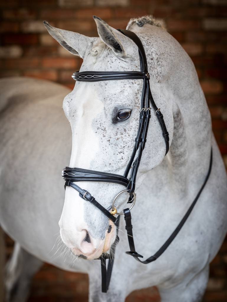 LM Kudos Competition Flash Bridle, Svart